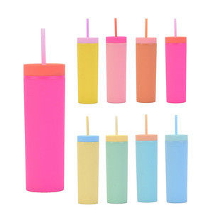 kopen Slanke Tumblers met Deksel en Rietjes 6-Pack 16oz Matte Pastel Gekleurde Slanke Acryl Dubbelwandige Plastic Hoge Slanke Tumblers Bulk Voor Koude Warme Dranken online manufacture
