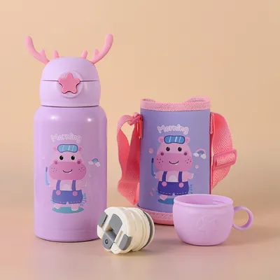 kopen Alledaagse verrukkingen Roestvrij staal geïsoleerde waterfles met beker, stro en zak 500 ml online manufacture