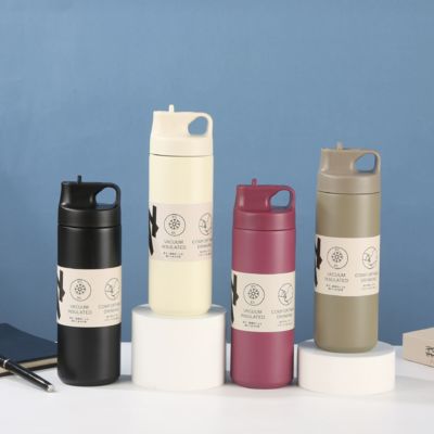kopen Wholesale Of Cross-border Japanese 304 Stainless Steel Insulated Tumbler Spout Type Sports Water Cup Simple And Portable Sports Water Bottles online vervaardiging
