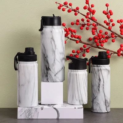 Geïsoleerde waterfles met slokdeksel herbruikbare roestvrijstalen waterflessen met handvat lekkagebestendige sportfles voor fitness gereis fiets kamperen 22 oz